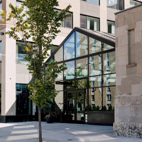 A modern building with large windows and a young tree in the foreground on a paved sidewalk.